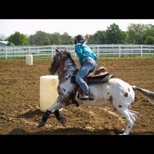 Meet your Posher, Lexi